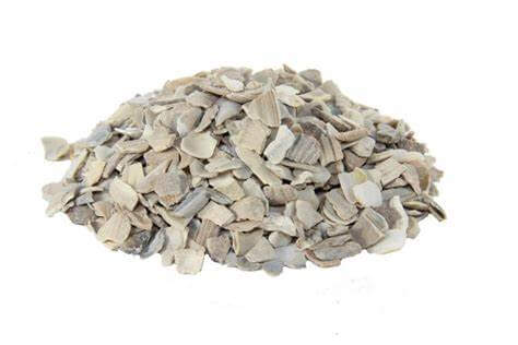 John Doe Oyster Shell Hen